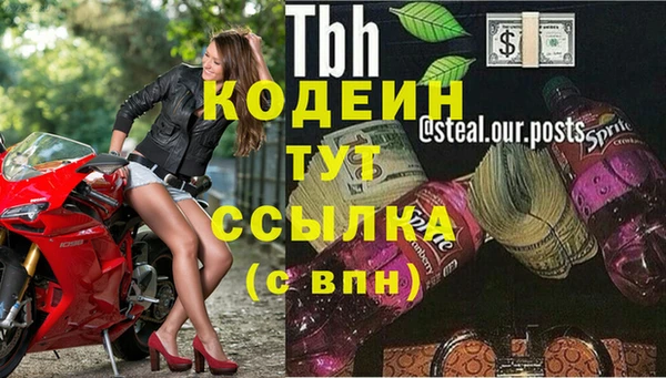 кокс Аркадак