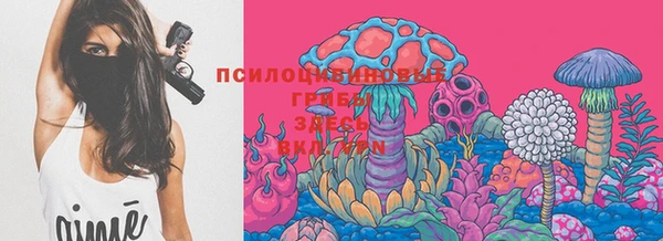 кокс Аркадак